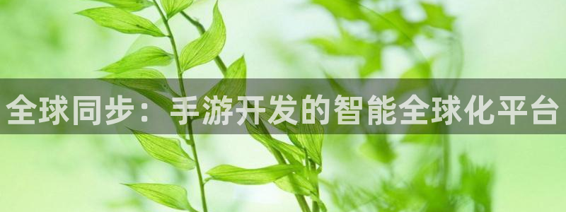 大神吧28官网预测：全球同步：手游开发的智能全球化平台