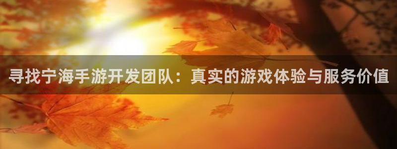 豪门国际开奖结果查询：寻找宁海手游开发团队：真实的游戏体验与