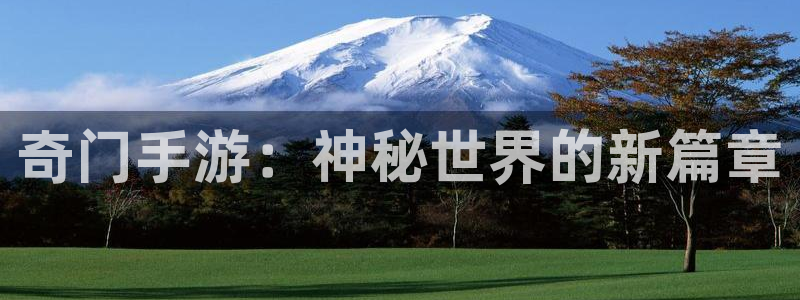 28大神怎么下载不了：奇门手游：神秘世界的新篇章