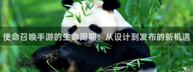 28大神app怎么下载：使命召唤手游的生命周期：从设计到发布