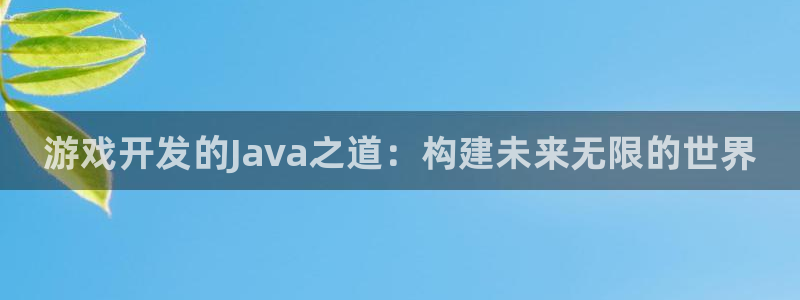 大神网pc28：游戏开发的Java之道：构建未来无限的世界