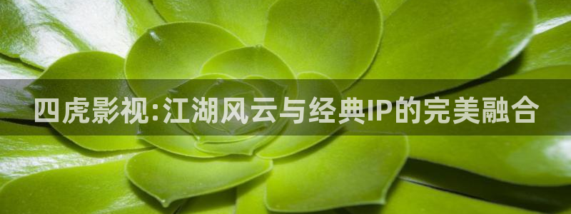 不卡影视app：四虎影视:江湖风云与经典IP的完美融合