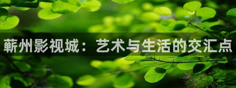 老子午夜不卡电影：蕲州影视城：艺术与生活的交汇点