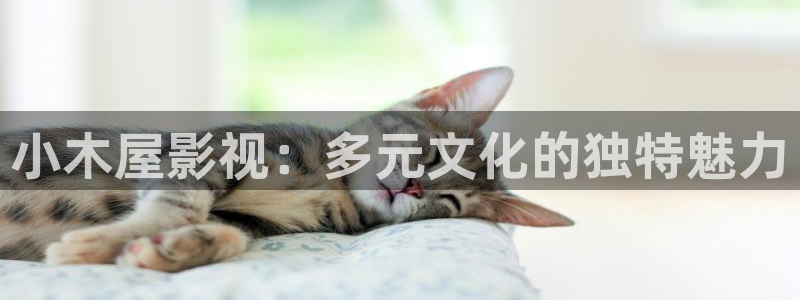 一区二区不卡视频网站：小木屋影视：多元文化的独特魅力