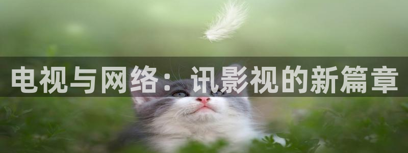 一区二区三区不卡免费观看视频：电视与网络：讯影视的新篇章