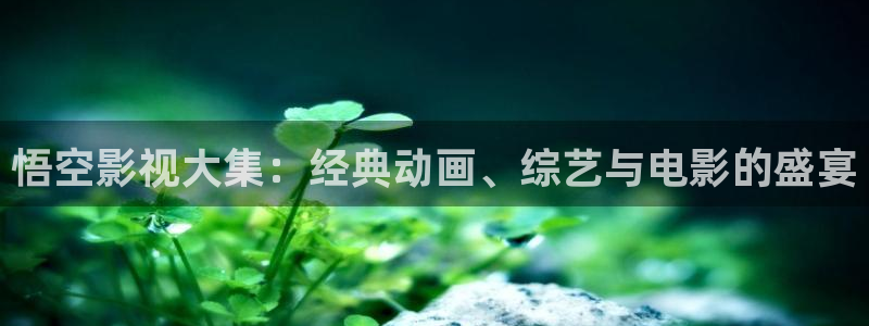av短片不卡在线观看：悟空影视大集：经典动画、综艺与电影的盛宴